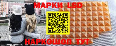 гидра Славгород