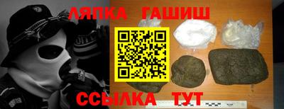 гидра Славгород
