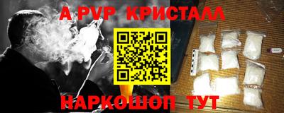 гидра Славгород